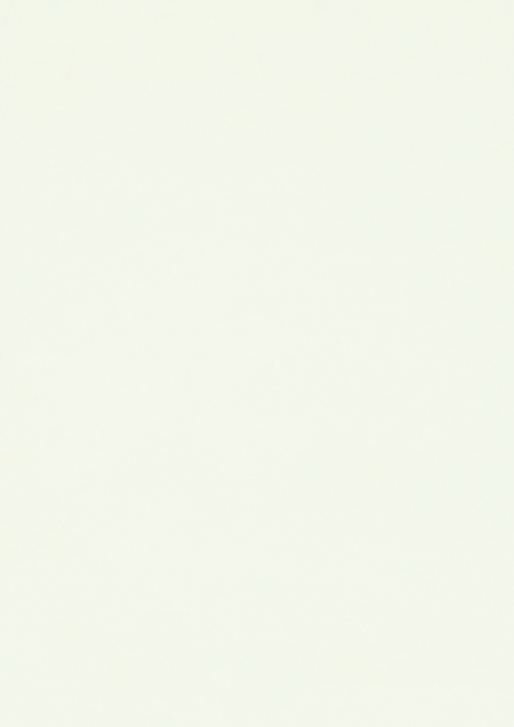 ABS Edgeband W960 Classic White 22x0.4mm