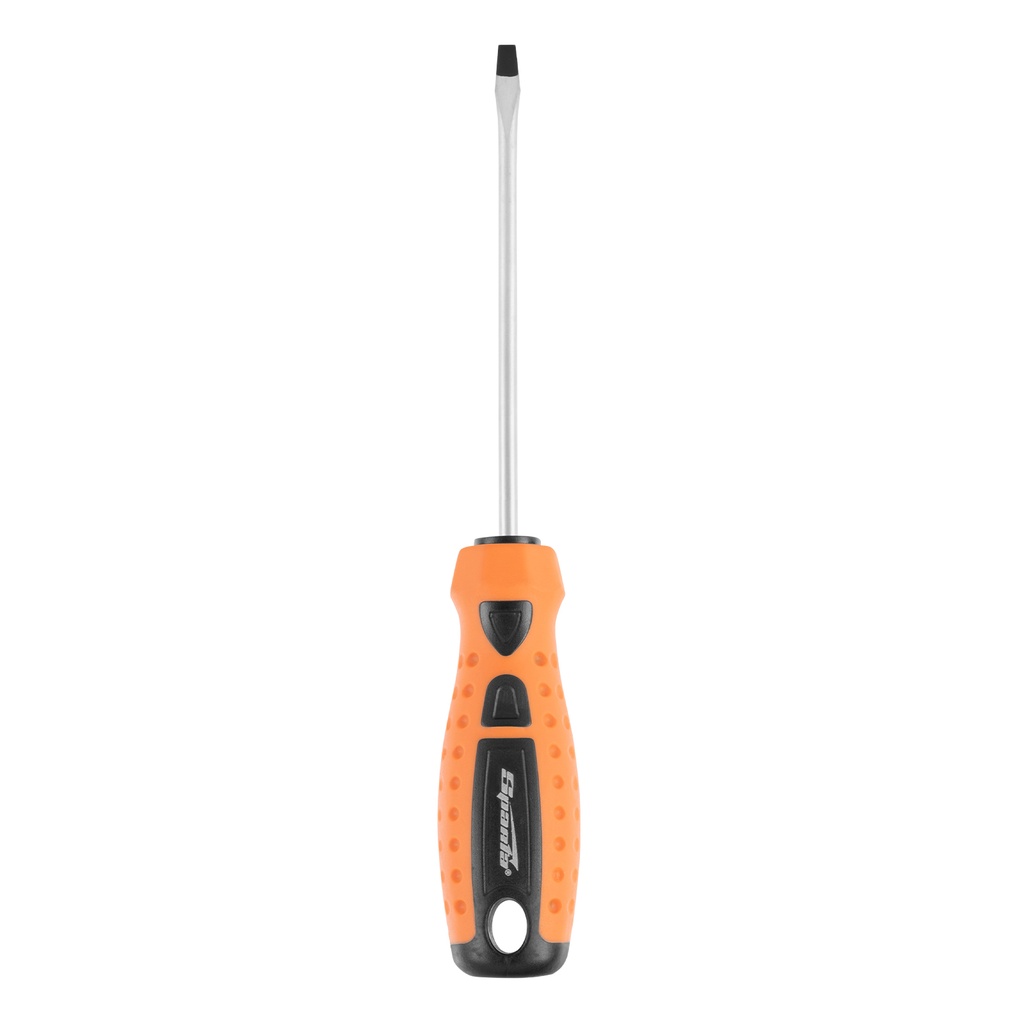 Screwdriver "Point", SL4,0х100 мм, CS, 2c handle/